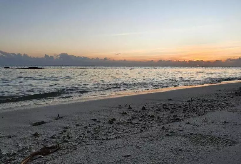 هتل Veli Beach Inn