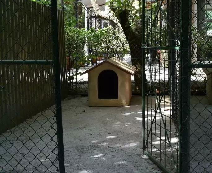 Cospea B&b