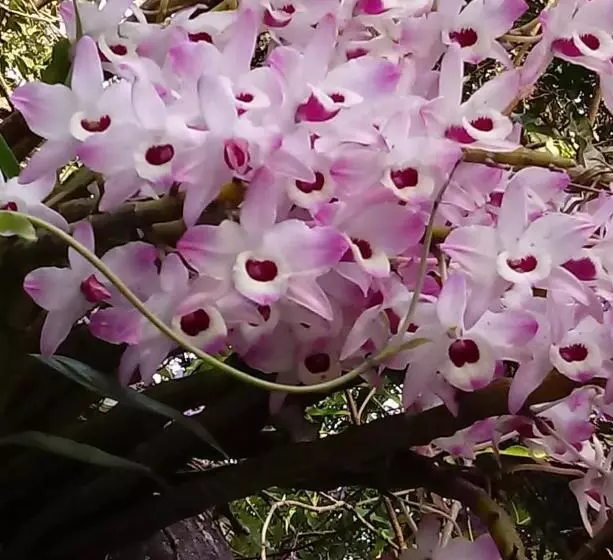 Majatalo Casalta Pousada