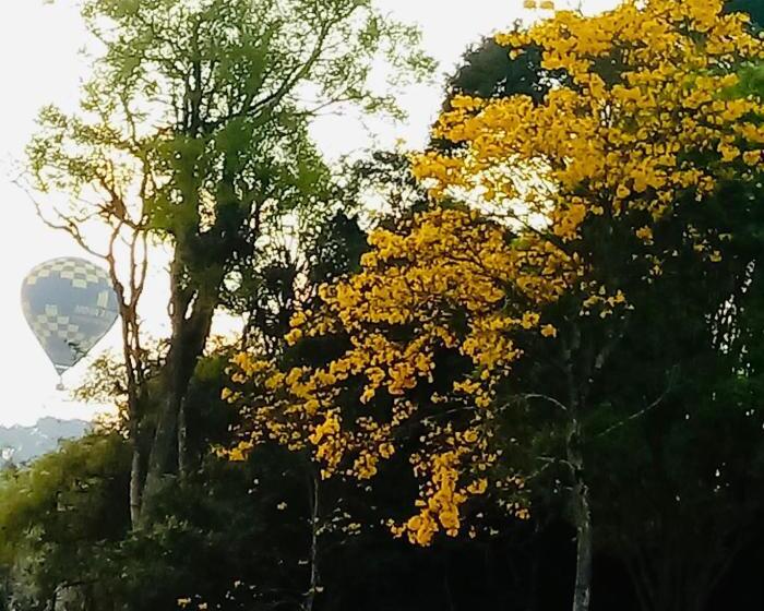 ペンション Casalta Pousada