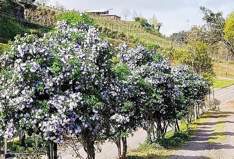 ペンション Casalta Pousada