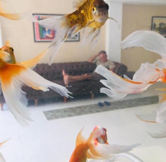 بنسيون Pousada Mirante Do Cunhaú