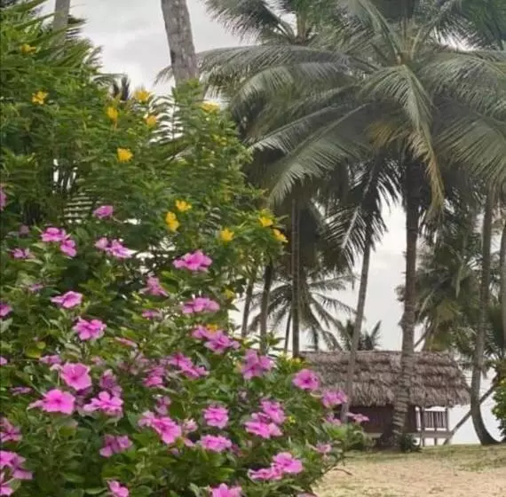 ユースホステル Cabañas Tubasenika