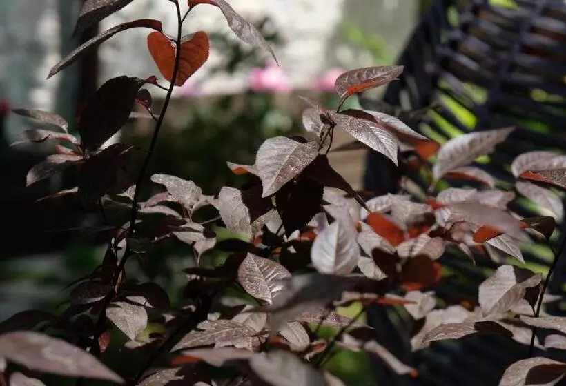 ベッドアンドブレックファースト Konak Bi̇ndalli