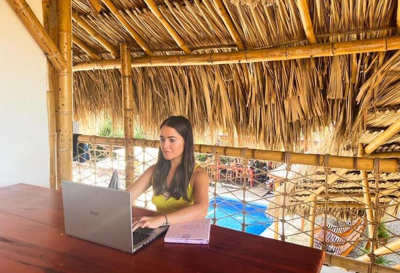 ベッドアンドブレックファースト Rincón Del Mar Palomino