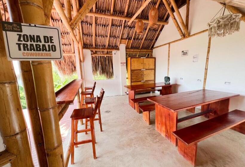 ベッドアンドブレックファースト Rincón Del Mar Palomino