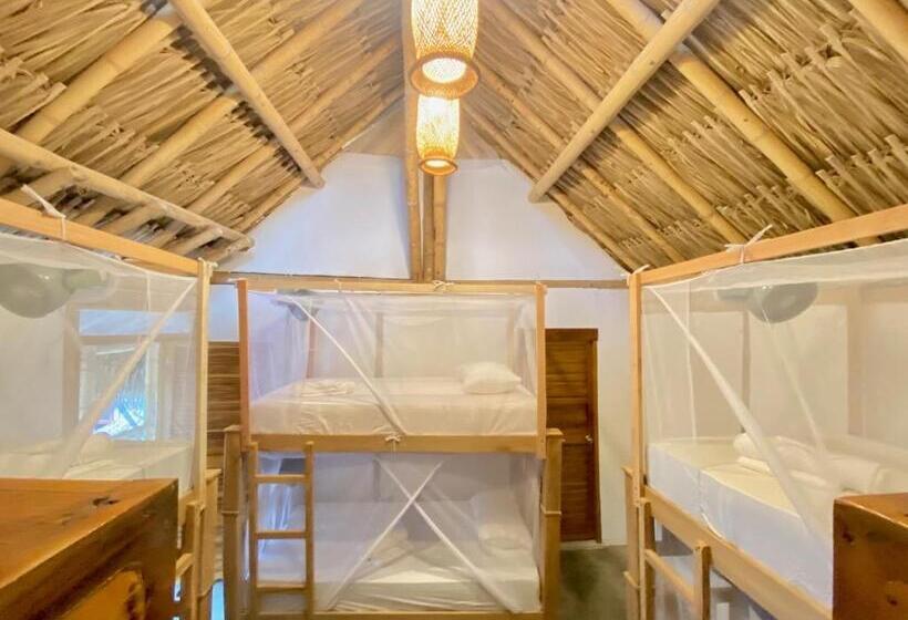 ベッドアンドブレックファースト Rincón Del Mar Palomino