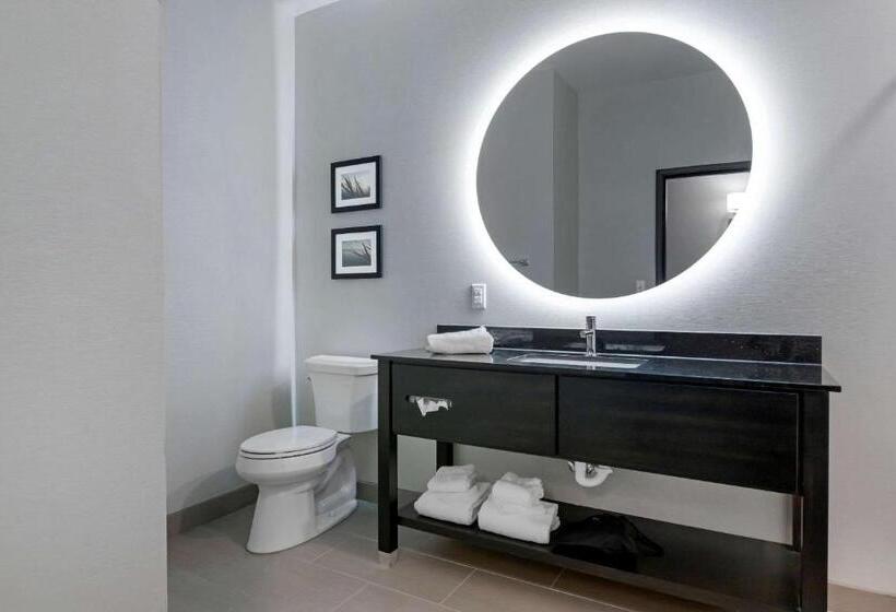 酒店 Comfort Inn & Suites Adrian