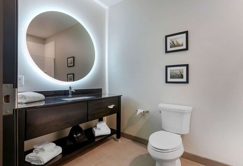 酒店 Comfort Inn & Suites Adrian