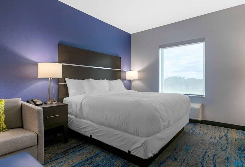 酒店 Comfort Inn & Suites Adrian