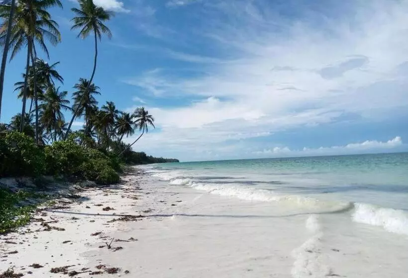 Hotelli Kijani Beach Villas