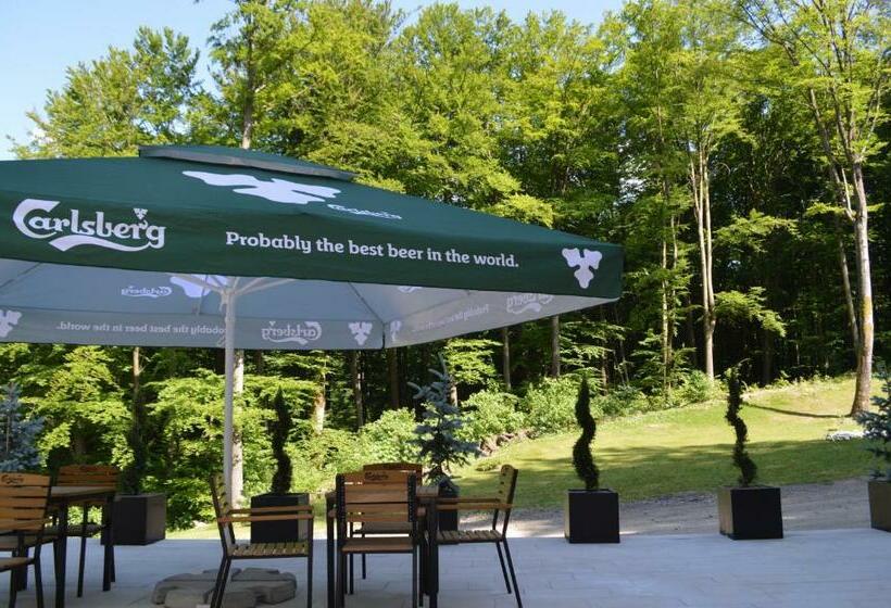 پانسیون Băile Puturoasa