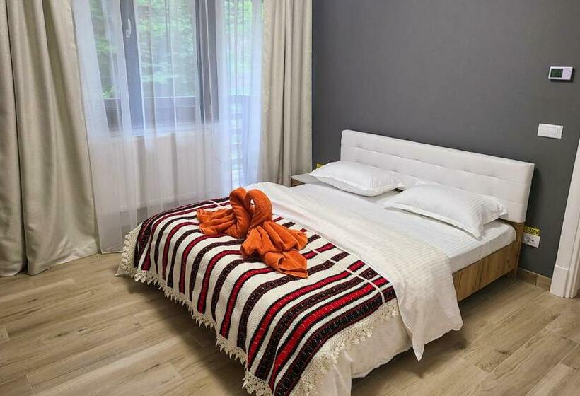 پانسیون Băile Puturoasa