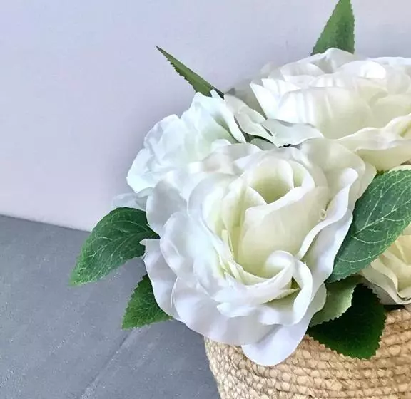 پانسیون Fox View Guesthouse