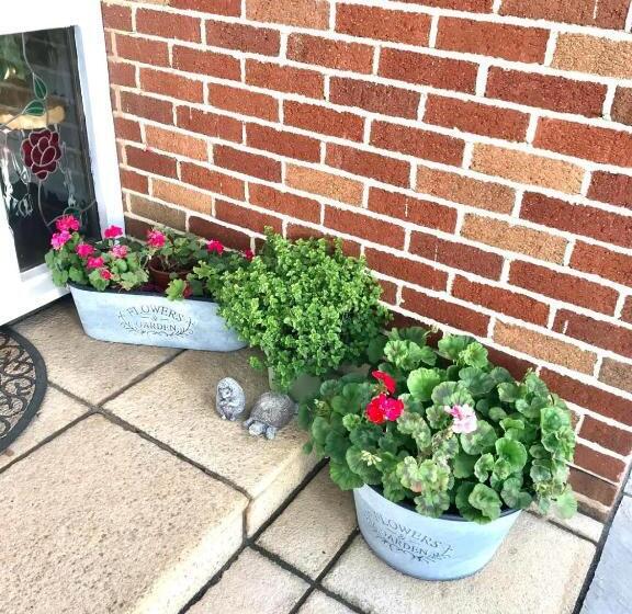 Pensão Fox View Guesthouse