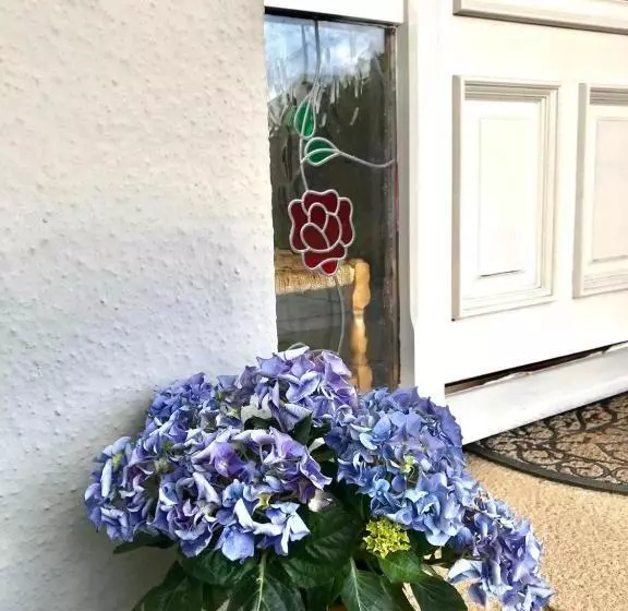 پانسیون Fox View Guesthouse