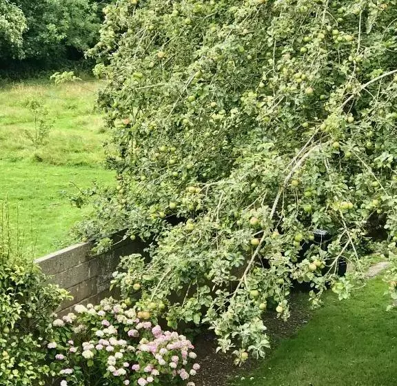 پانسیون Fox View Guesthouse