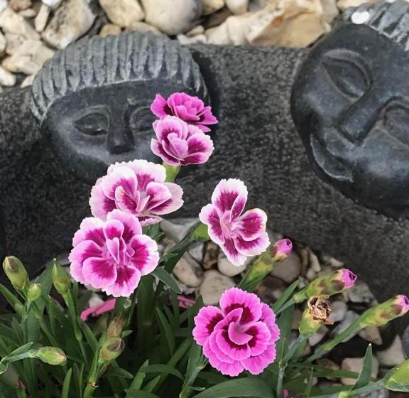 Pensão Fox View Guesthouse