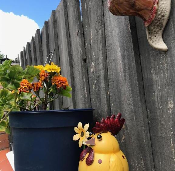 Pensão Fox View Guesthouse