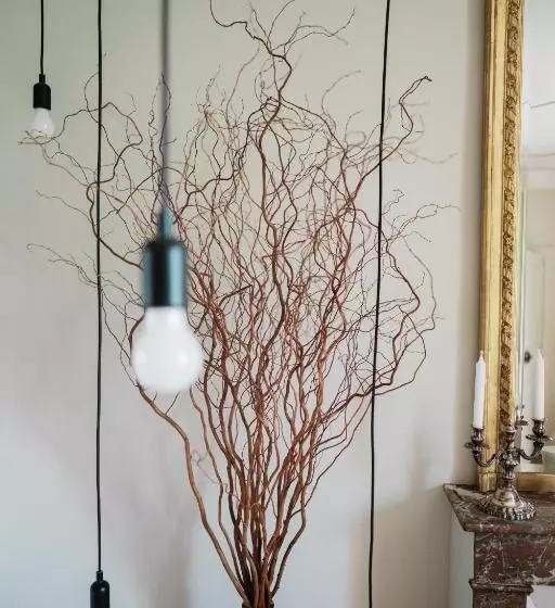 پانسیون Maison Durieux