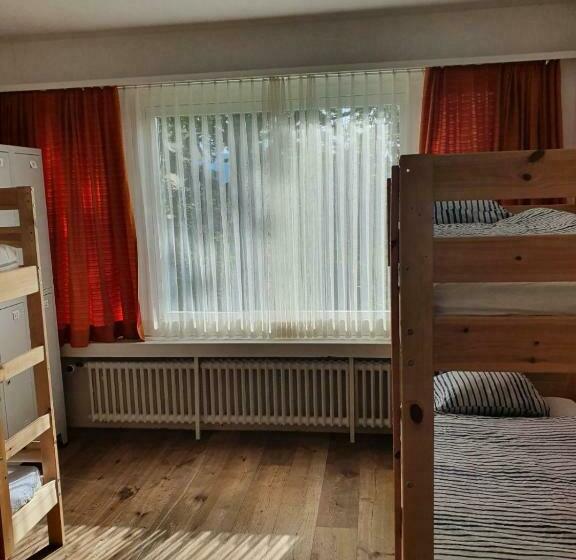 Viktoria Budget Hostel