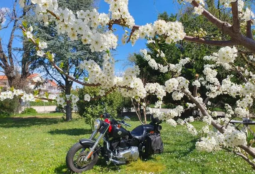 Aamiaismajoitus (B&B) Oak Tree 114 Bnb