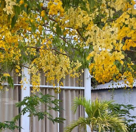 住宿加早餐 Sapphire Garden