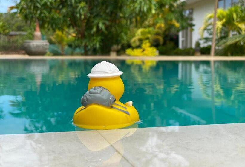 住宿加早餐 Sapphire Garden