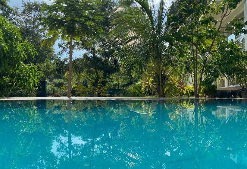 住宿加早餐 Sapphire Garden