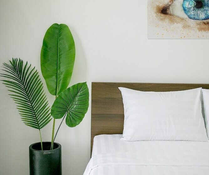 Hotel Duong Chau Boutique