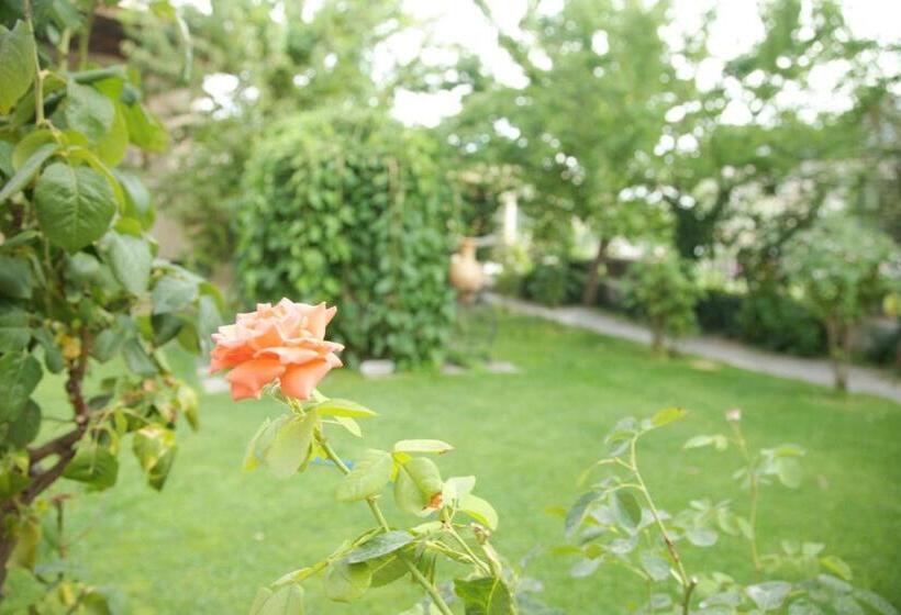 هتل Mahiye Hanim Konagi