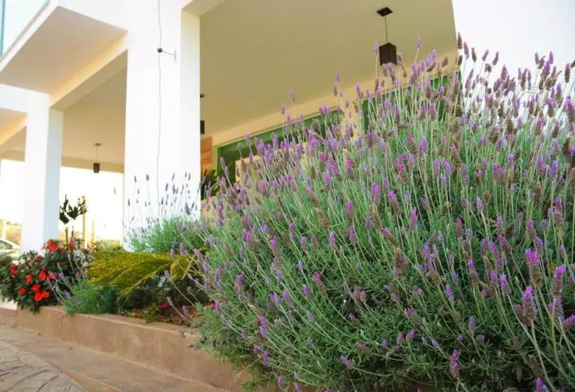 ペンション Alta Vista Pousada Boutique