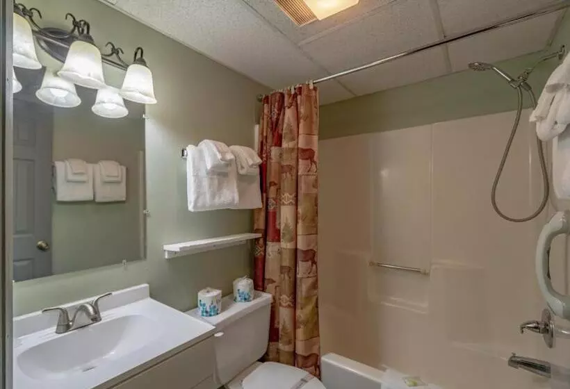 Swiss Mountain Village