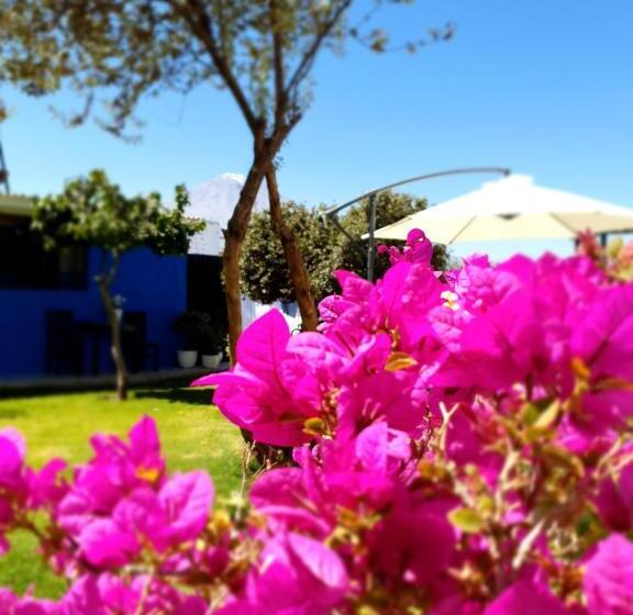 The First Real Bed & Breakfast Hiking Hotel  The Office  In Arequipa, Peru