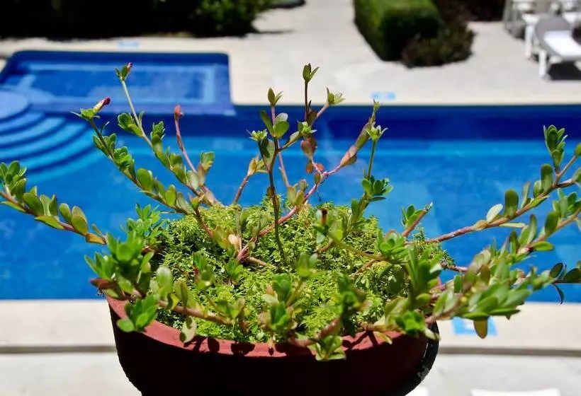 Hotelli Hacienda Vallarta Playa Las Glorias