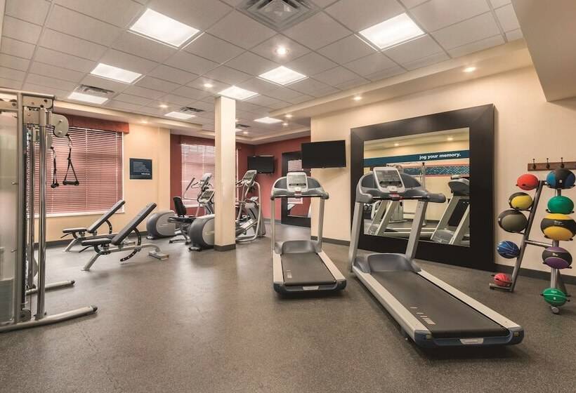 בית מלון כפרי Hampton Inn By Hilton Edmonton/south, Alberta, Canada