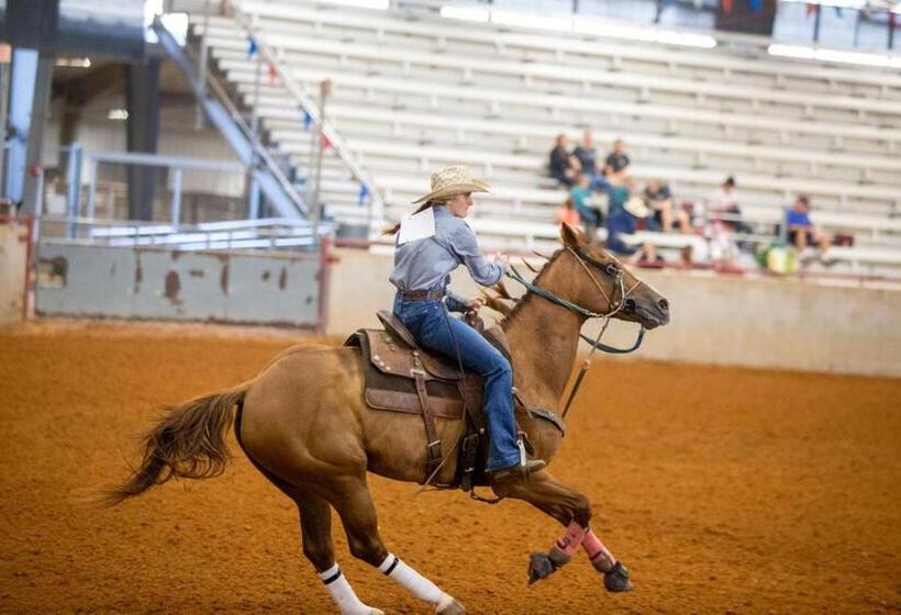 ホテル Holiday Inn Express & Suites College Station, An Ihg