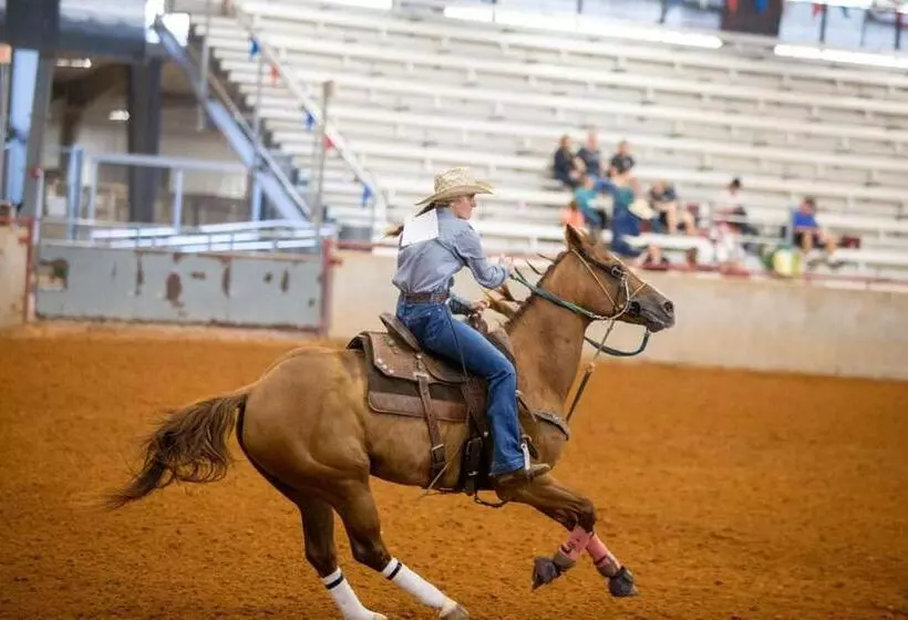 ホテル Holiday Inn Express & Suites College Station, An Ihg