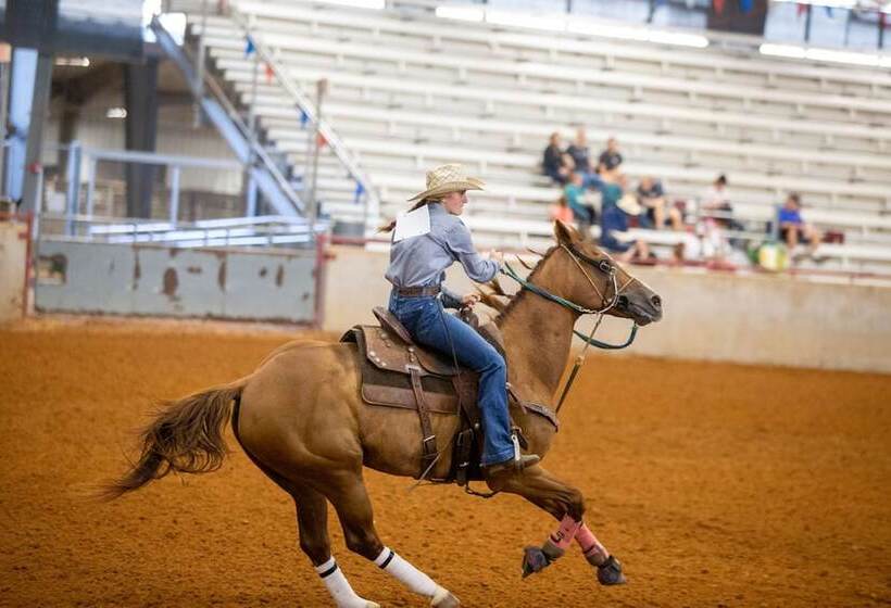 ホテル Holiday Inn Express & Suites College Station, An Ihg