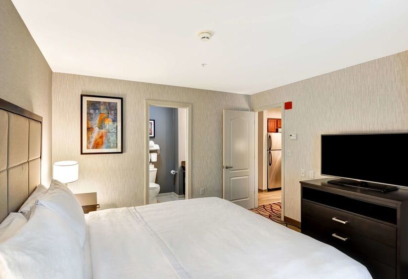 호텔 Homewood Suites By Hilton Boston/cambridgearlington, Ma
