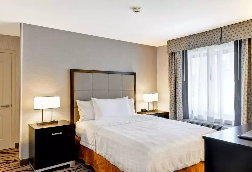 酒店 Homewood Suites By Hilton Boston/cambridgearlington, Ma