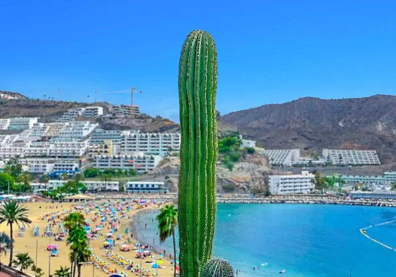 Punta Del Rey Adults Only