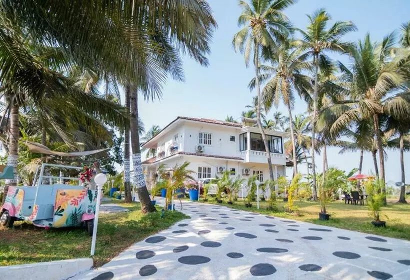 ベッドアンドブレックファースト White House In Goa, Truly Amazing Experience