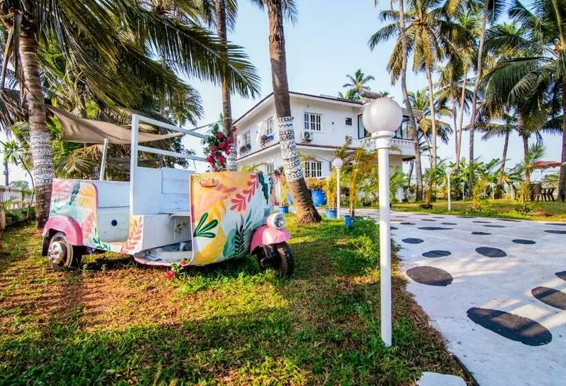 ベッドアンドブレックファースト White House In Goa, Truly Amazing Experience