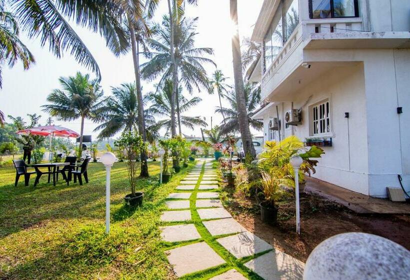 Bed and Breakfast White House In Goa, Truly Amazing Experience