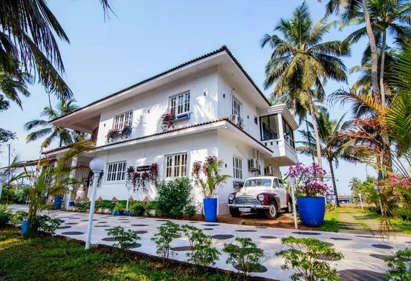 ベッドアンドブレックファースト White House In Goa, Truly Amazing Experience