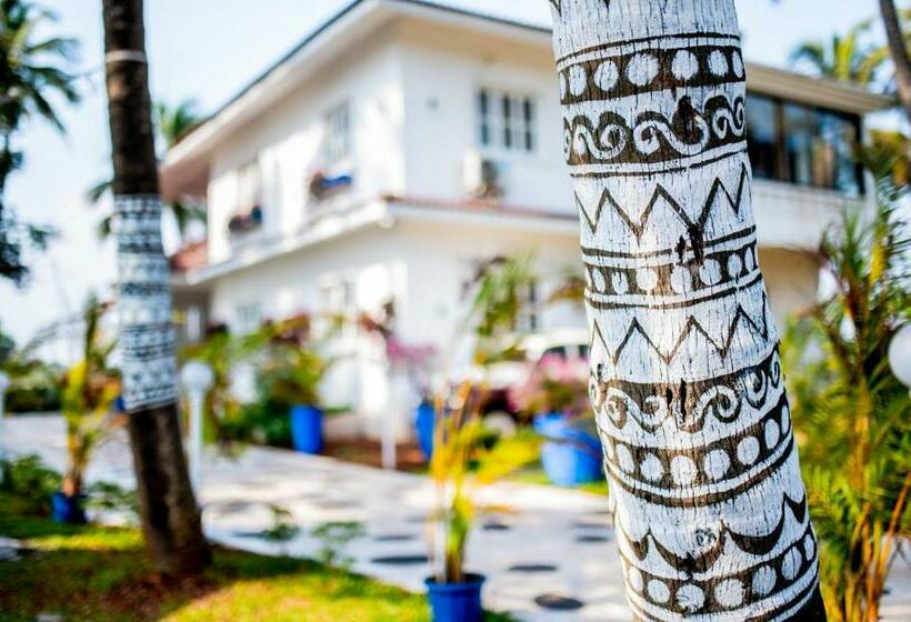 Bed and Breakfast White House In Goa, Truly Amazing Experience