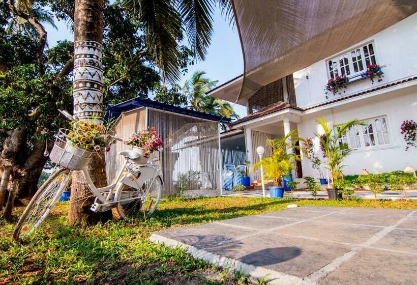 Bed and Breakfast White House In Goa, Truly Amazing Experience