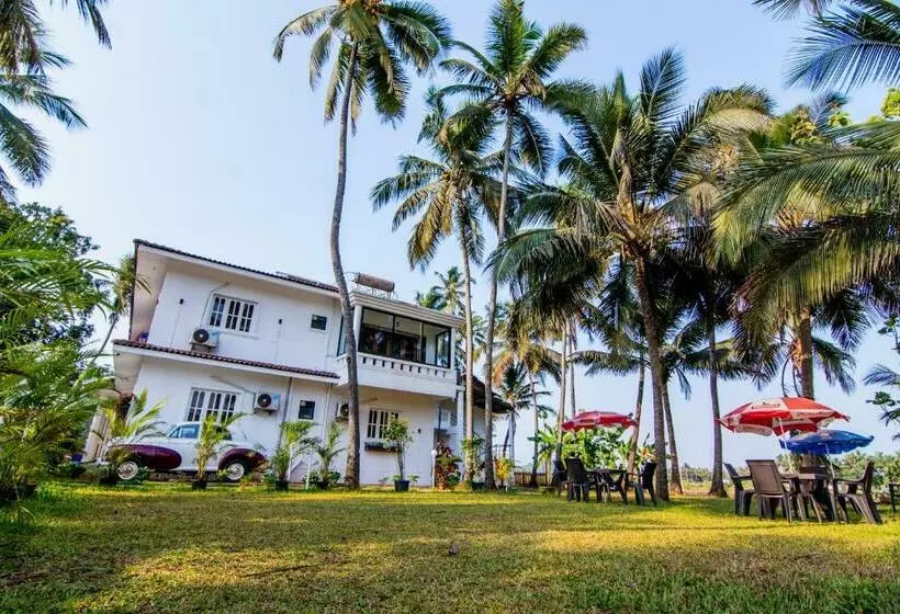 ベッドアンドブレックファースト White House In Goa, Truly Amazing Experience