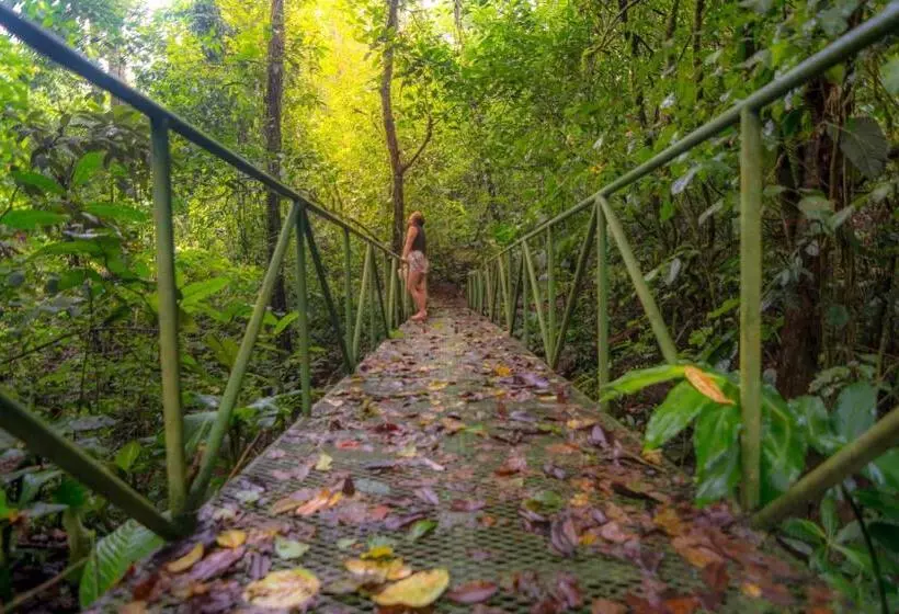 Hotelli ávita Lodge